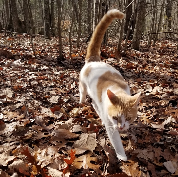 Meet your Posher, Holli - Picture 5 of 8